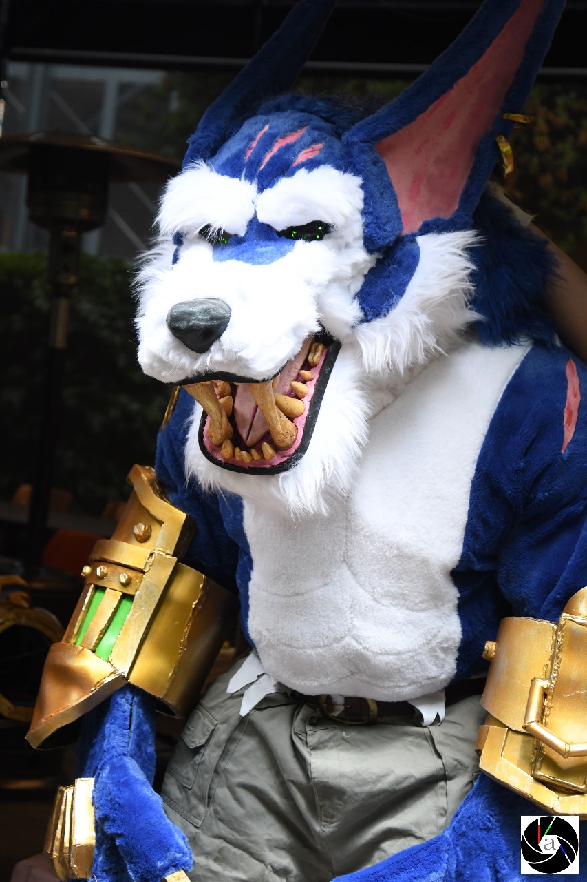 Warwick Cosplay 