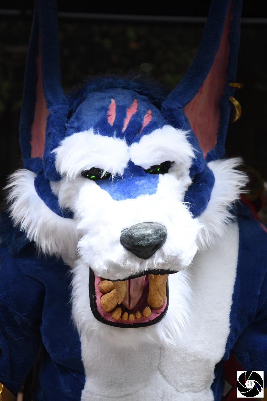 Warwick_Cosplay__page_2_1731052287