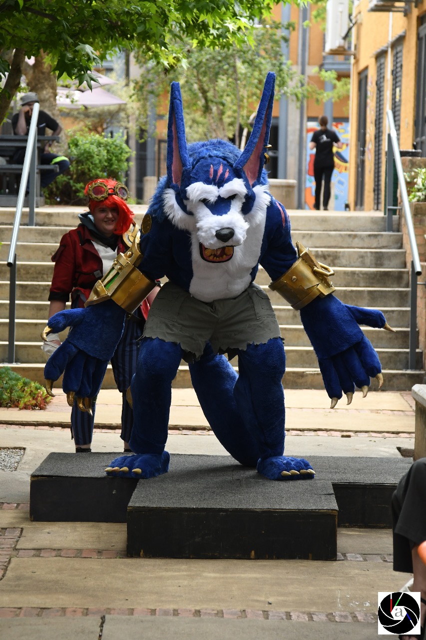 Warwick_Cosplay__page_3_1731052287