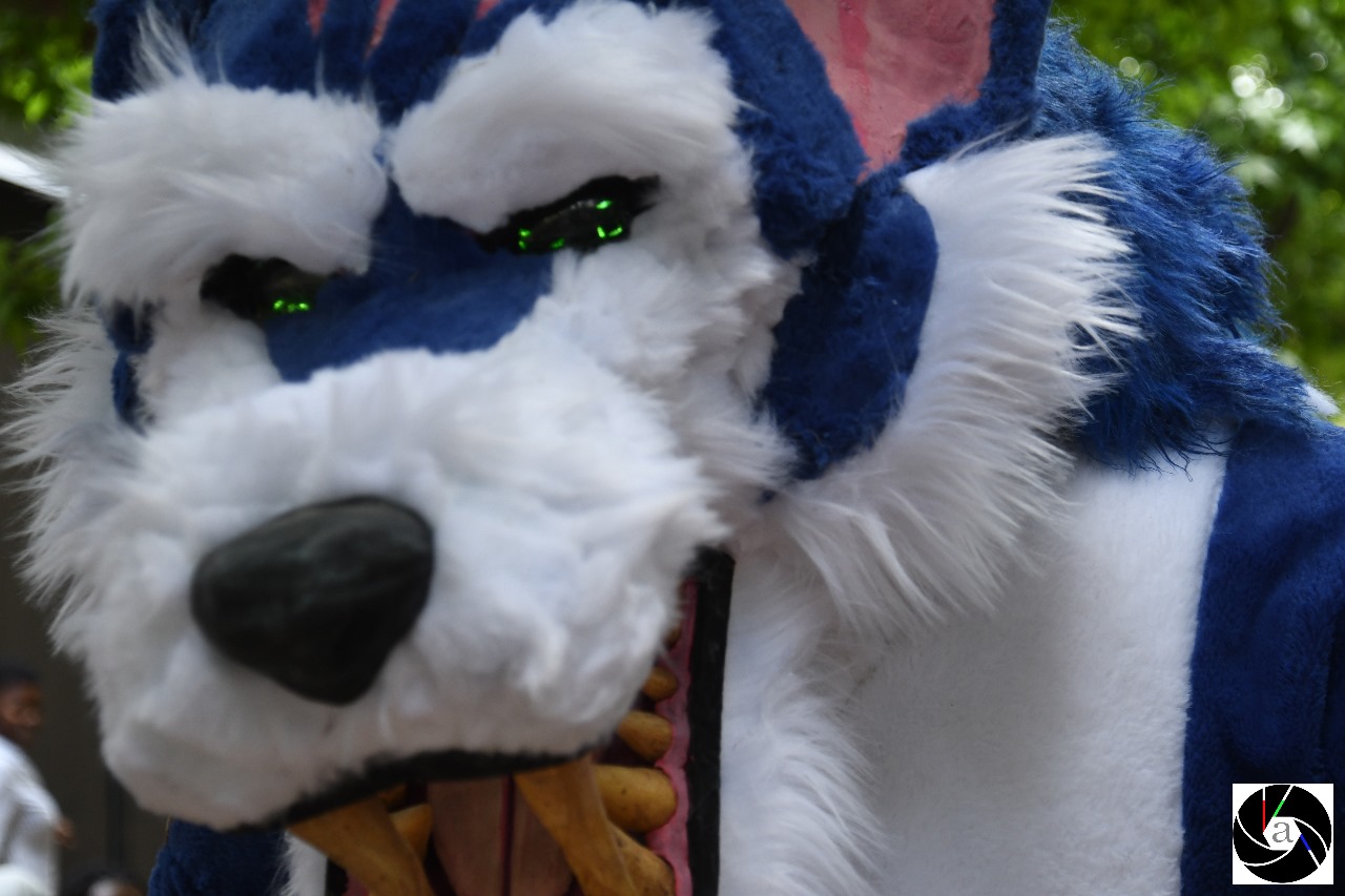 Warwick_Cosplay__page_4_1731052287