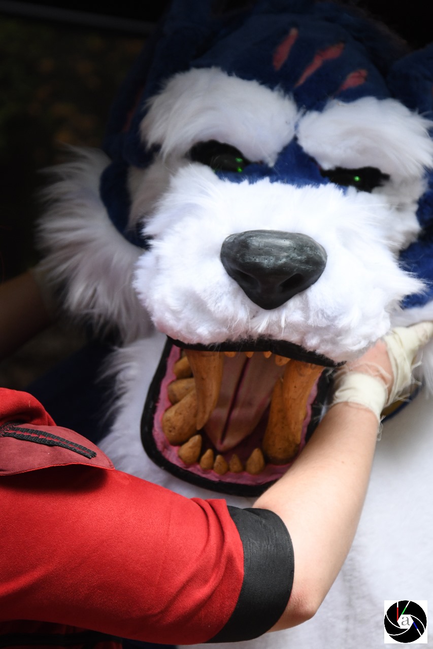 Warwick_Cosplay__page_5_1731052287